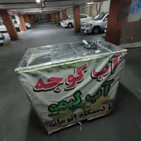 دستگاه آبگیری گوجه|سایر لوازم برقی|تهران, مهرآباد|دیوار