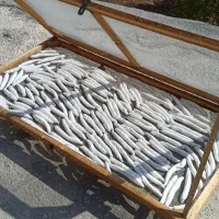 کشک وسوله که درجه یک وخوش طعم وکاملا بهداشتی|خوردنی و آشامیدنی|روانسر, |دیوار