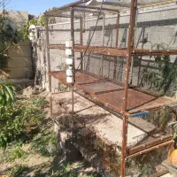 یک عدد قفس آهنی|لوازم جانبی حیوانات|شبستر, |دیوار