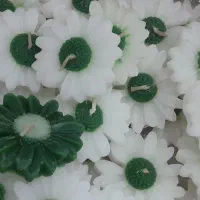 شمع های بابونه ۴۰ عدد زیر قیمت بازار.