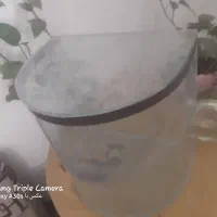 اکواریوم هلالی|ماهی|کرمان, |دیوار