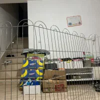 کارتون موز جعبه موز