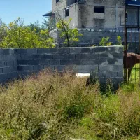 فروش یک قطعه زمین  دوکله در بلوار معلم رامسر
