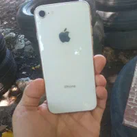 Iphone 8|موبایل|رشت, کوی حسینی|دیوار