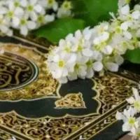 فال و ..