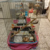 قفس|لوازم جانبی حیوانات|اصفهان, مهدی آباد|دیوار