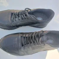 کفش|کیف، کفش، کمربند|مشهد, دانشجو|دیوار