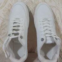 کتونی مردانه مارک لاکوست،کاملانو،کارنکردس|کیف، کفش، کمربند|رشت, جماران|دیوار