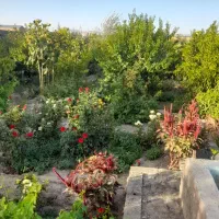 باغ ویلاکامل ونصفه معاوضه باماشین خونه