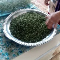 شوید نعناع جعفری خشک