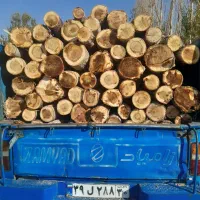 خریدار انواع چوب هیزمی زغالی ریشه درخت|خدمات باغبانی و درختکاری|آبیک, |دیوار