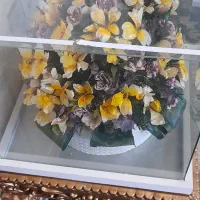 گل خشک با قاب زینتی|صنایع دستی و سایر لوازم تزئینی|اصفهان, شیخ طوسی|دیوار