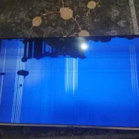 تلویزیون  اسنوا