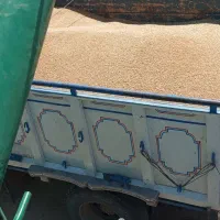 جاندیر کاهکوب مدل 83|خودرو سنگین|رشتخوار, |دیوار