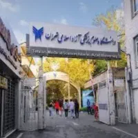 مشاوره تحصیلی (دیپلم تا دکترا)