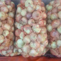 پیاز اصفهان|عمده‌فروشی|محمدیه-قزوین, |دیوار