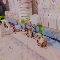 سنگ مصنوعی عمده وتکی|مجسمه، تندیس، ماکت|یاسوج, |دیوار