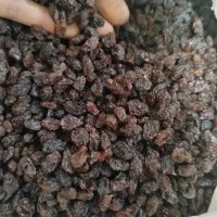 کشمش بیدانه آفتابی