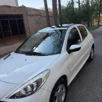 ۲۰۷پانادنده