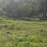 زمین به متراژ ۵۰۰ متر ماسال|فروش زمین و ملک کلنگی|شاندرمن, |دیوار