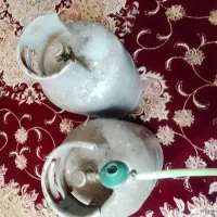 دوعددکپسول سالم