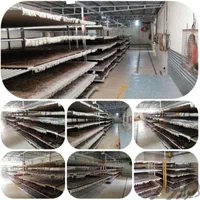 قالیشویی مبل شویی «همشهری»در مشهد تضمینی قالی شویی|خدمات نظافت|مشهد, هدایت|دیوار