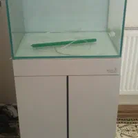 آکواریوم و ماهی|ماهی|ری, دیلمان|دیوار