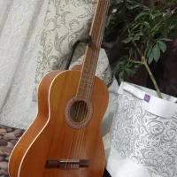 گیتاربه قیمت تولید به علت جمع آوری|گیتار، بیس، امپلیفایر|مشهد, شهید آوینی|دیوار