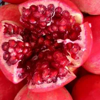 فروش 50 تن انار مخصوص پاکستان و عراق