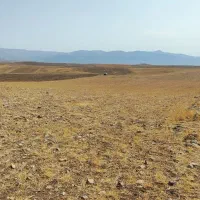 فروش زمین کشاورزی دیم