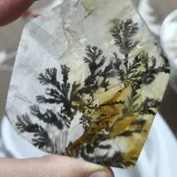 کوارتز شجر قواره برزیلی کلکسیونی|جواهرات|قم, ارم|دیوار