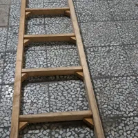 کپسول و نردبان