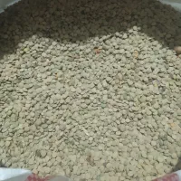 ادس تمیز