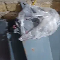 قفسه و پایه