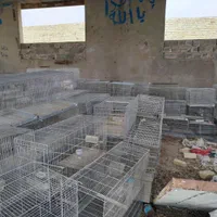 قفس قناری|لوازم جانبی حیوانات|اصفهان, ارغوانیه|دیوار