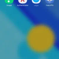 شناسنامه گم شده