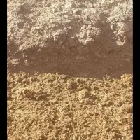 خواهان کودحیوانی