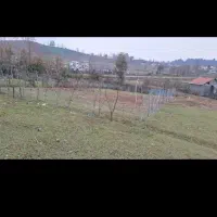 220-متر-زمین-در-سیاهکل-500-متر-فاصله-تا-اتوبان