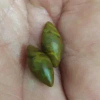 مهره وسنگ اصلی|جواهرات|برازجان, |دیوار