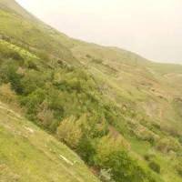 فروش باغ زیبا در روستای ساربانک قزوین|فروش زمین و ملک کلنگی|کوهین, |دیوار