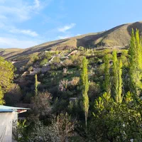 باغچه ویلایی ۱۰۰۰ متر لواسان بزرگ/ایرا/جورد/وسکاره|فروش زمین و ملک کلنگی|لواسان, |دیوار