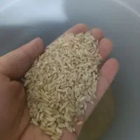 برنج چمپع کیلویی380
