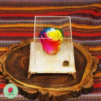 باکس گل رز جاودان طبیعی پایه سنگی برای هدیه تولد|گل و گیاه طبیعی|تهران, دولاب|دیوار