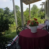 ویلا جنگلی کنار رودخانه جاده ییلاق السبلنگاه|اجارهٔ کوتاهمدت آپارتمان و سوئیت|ماسال, |دیوار