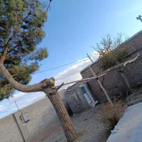 فروش خانه ویلایی|فروش خانه و ویلا|زاوه, |دیوار