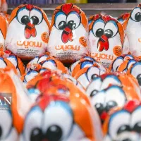 فروش ویژه مرغ سمین