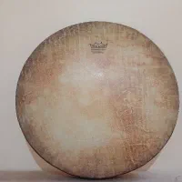 دف رمو REMO سالم + دفتر آموزشی