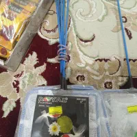 مقداری لوازم آکواریوم اکبند|ماهی|تهران, دهم فروردین|دیوار