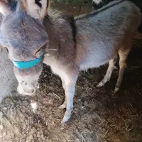 به دلیل نبودن جا