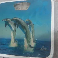 ترازو عقربه ای  برای وزن کشی